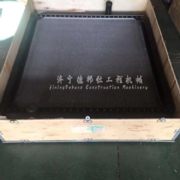 点击查看详细信息<br>标题：S420LC-V 阅读次数：1917
